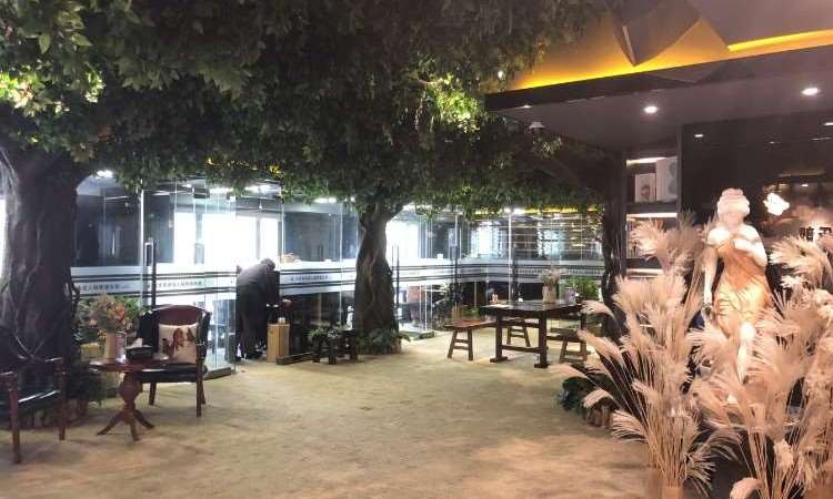 长沙圣典成人钢琴俱乐部好不好