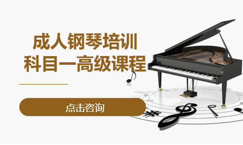 成人钢琴培训&middot;科目一高级课程